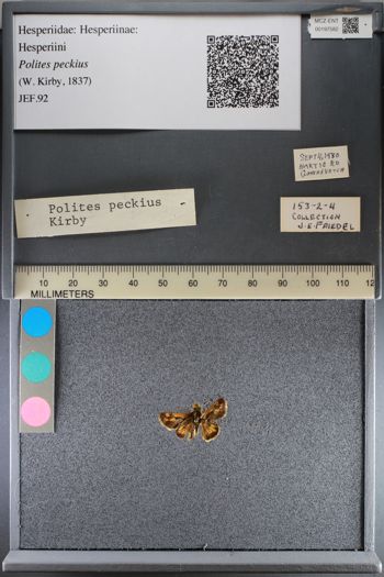 Media type: image;   Entomology 197582